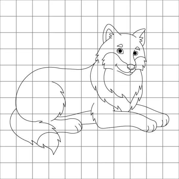 Wolf Laying Down Drawing Grid